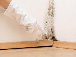 Mold Remediation for Rental Properties in Marshall, WI